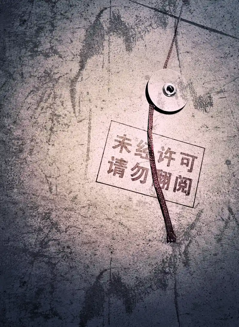 档案袋